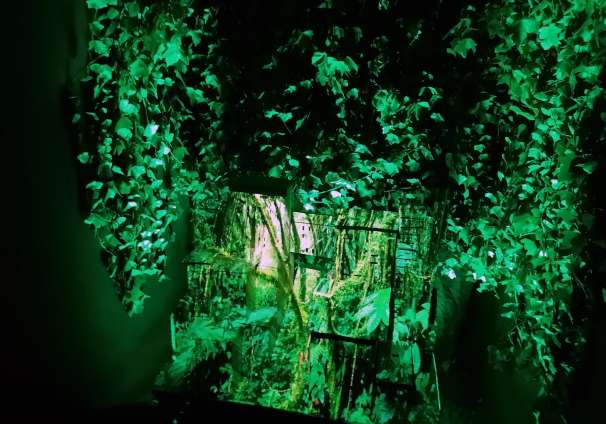 Celda 2.1. El sueño de una noche de…pandemia. Colectivo Los Creadores de lo inútil